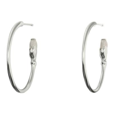 TOGGLERDAILY鸢尾花925银耳钉