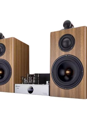 山水旗舰HIFI发烧胆机功放音响