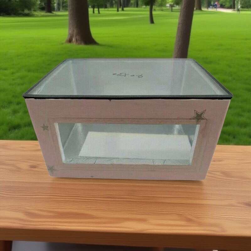 摆摊保鲜盒透明盖保温箱商用三明治饭团汉堡蛋糕双皮奶冷藏泡沫箱