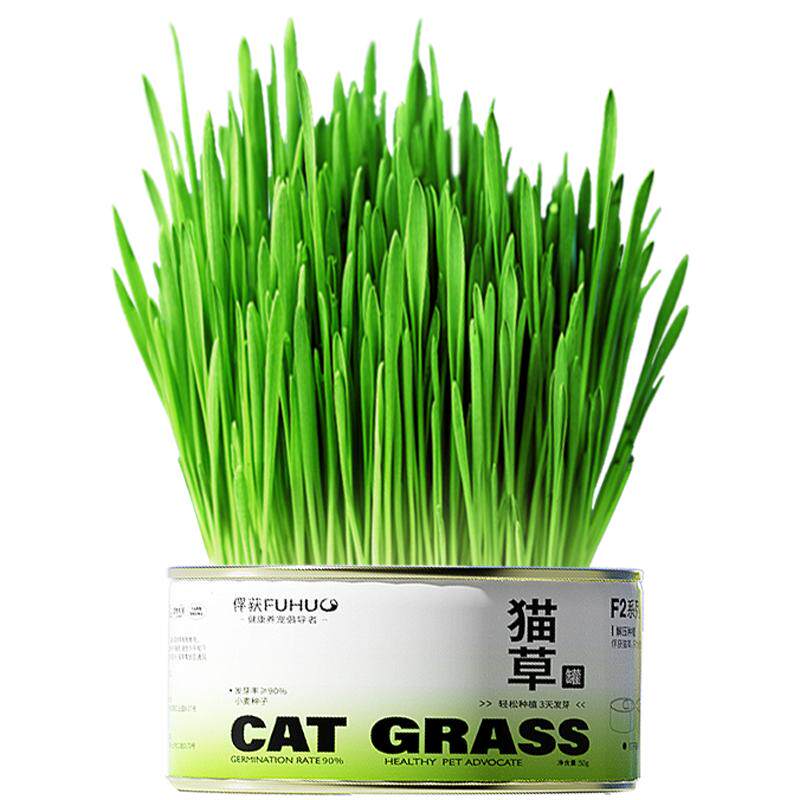 俘获猫草懒人轻松猫草