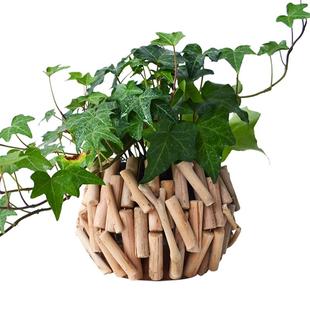 创意花瓶摆件轻奢高级感家居饰品餐桌办公室花艺现代客厅插花装饰