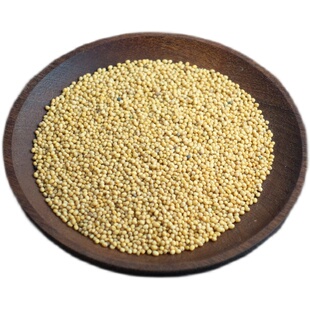 白黄芥末籽自制芥末酱英式第戎美式蜂蜜芥末蛋黄酱沙拉Mustard