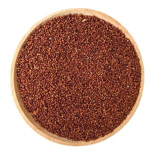 广西农家特产鸭脚粟米粉子龙爪粟米红黄小米食品五谷杂粮米小红米