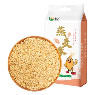 赤川25年新米燕麦米燕麦仁内蒙农家新货燕麦粒五谷杂粮粗粮