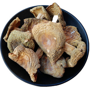 野生青头菌干货特价青面菇大朵100克云南大理土特产蘑菇 自然清香