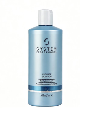 德研丝H1轻盈保湿洗发水德国直邮干枯毛躁男女沙龙洗发露500ml