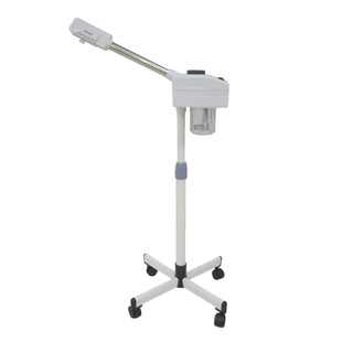 泰东正品DT-228中草药单热喷雾机美容仪器香薰离子蒸脸面器蒸汽机