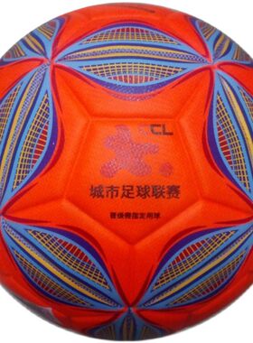 华士牌一体pu五号足球成人