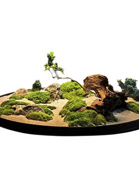 永生苔藓摆花酒店餐桌摆件