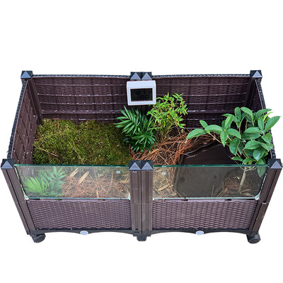 半水龟造景黄缘龟生态缘友之家