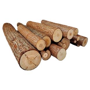 实木小木桩底座原木墩树桩树干拍摄道具手工diy园艺壁炉装饰摆件