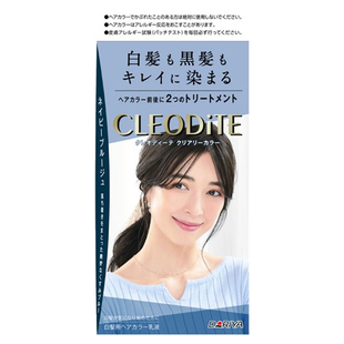 直邮日本DARIYA塔莉雅女少量遮白发染发剂彩染膏灰棕栗棕茶色流行