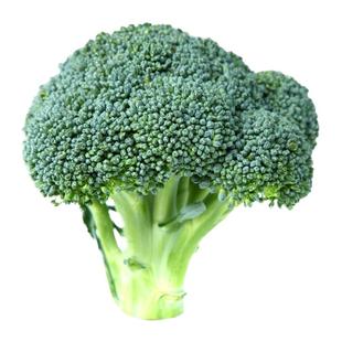 西兰花四季秧苗适合冬天种的菜蔬菜苗冬季种籽孑菜苗大全种子种苗