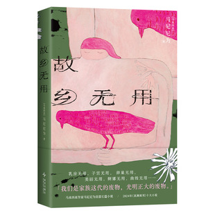 【专享签章+藏书票】故乡无用 马来西亚作家 马尼尼为 华语文学女性 2024亚洲周刊十大小说 为无用的废物立传 黎紫书流俗地