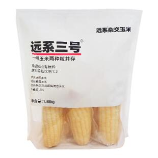 焕然远系三号甜糯杂交玉米非转基因自然熟甜糯玉米真空独立包装