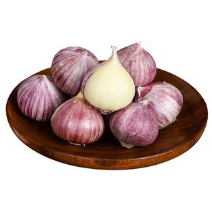 云南紫皮独头蒜2025年干大蒜头5斤新鲜红食用特大果独蒜头农产品