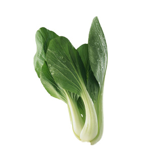 黑叶五月慢青菜种子秋季种籽阳台秋天易种油菜种子种室内盆栽菜籽