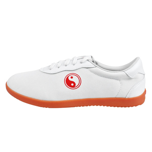 武士龙太极鞋女帆布软底武术鞋太极拳鞋男专用训练鞋练功鞋表演鞋