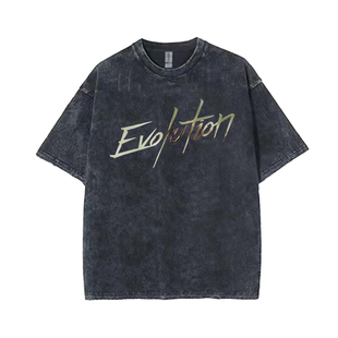 2025进化演唱会谢霆锋同款T恤短袖evolution春夏男女纯棉做旧衣服