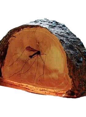 趣味侏罗纪琥珀切片树脂家居摆件