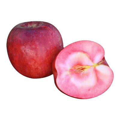 新疆阿克苏红心红肉苹果圣诞礼盒