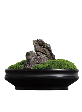 天青苔绿 新中式假山永生苔藓组合 样板间茶空间茶几玄关桌面摆件