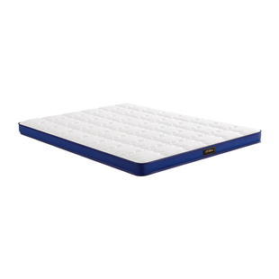 芝华仕D026小蓝垫家用卧室宿舍学生榻榻米硬床垫10cm环保儿童床垫