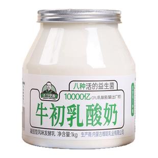 【官方直售】老马草原内蒙风味牛初乳酸奶1kg*2桶发酵凝固型酸奶