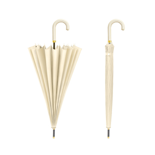 24骨长柄雨伞高颜值自动加大加厚加固抗风暴雨结实耐用大号直杆伞