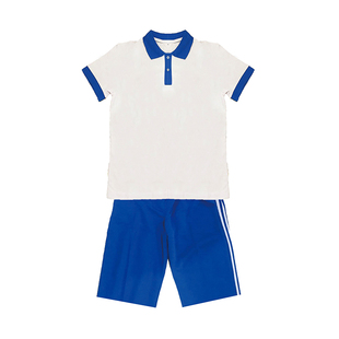 夏季广东校服蓝白棉短袖学生装电影短剧服初中班服高中毕业网球服