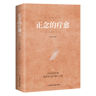 抖音同款正念的疗愈禅修入门减压疗法恢复内心宁静开启内在获得身心的平静与力量对抗焦虑Y的指南心灵书籍正版心理自我一个人认知