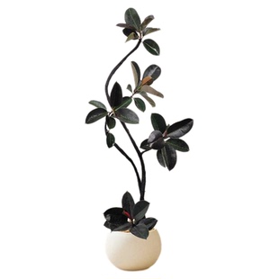 黑金刚橡皮树客厅大盆栽绿植办公室内大型植物落地式大号真花禄植