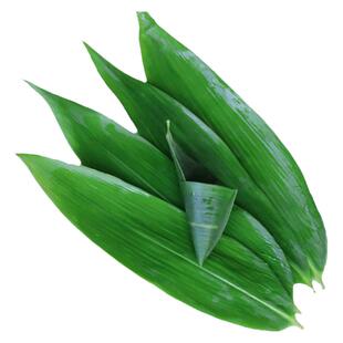 粽叶新鲜现摘特大箬叶包粽子的叶子竹叶大号纯天然野生粽子叶新叶