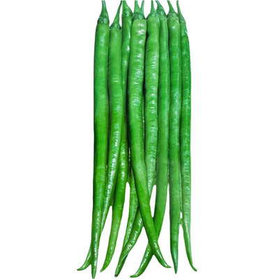 二荆条辣椒种籽超长线椒南方四季