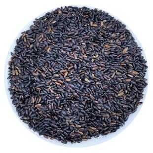 2025年东北黑糯米新米血糯米杂粮粥黏糯黑米粘紫米包粽子黑江米饭