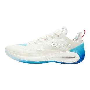 匹克态极维金斯2代篮球鞋男鞋秋季新品碳板专业球鞋轻弹AW2运动鞋