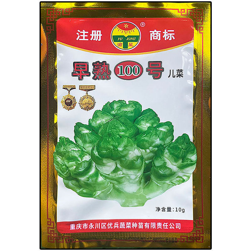 早熟100号儿蔬菜种子孑籽超生菜