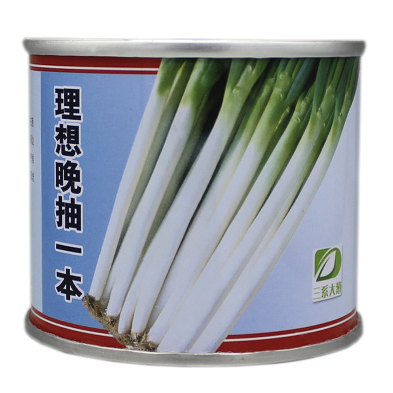 日本品种铁杆大葱种子山东正宗章丘葱种子耐热耐寒抗倒伏葱籽包邮