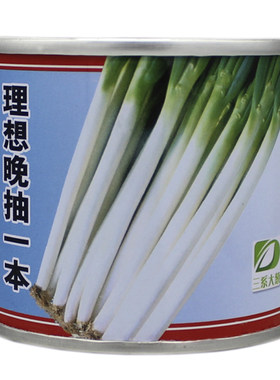 日本品种铁杆大葱种子山东正宗章丘葱种子耐热耐寒抗倒伏葱籽包邮