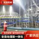 定制易拉罐碳酸饮料灌装 生产线设备 机流水线含气啤酒碳酸饮料灌装