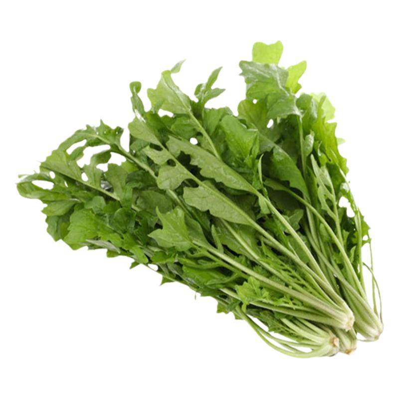 陕西野生荠菜新鲜现挖荠菜