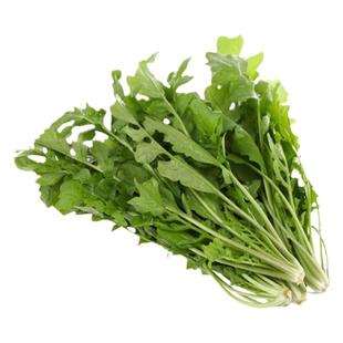 陕西秦岭野生荠菜新鲜野菜4斤荠荠菜农家地菜非冷冻饺子馅包邮