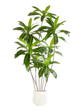 仿真绿植巴西木室内轻奢风假植物盆栽客厅装饰落地摆件高级仿生树