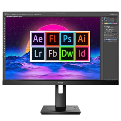 飞利浦245S9RB升降旋转2K