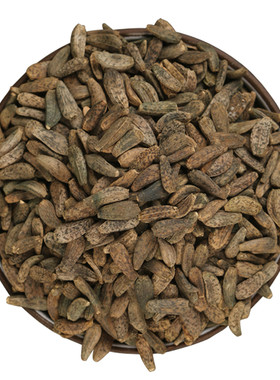新牛蒡种子中药材牛蒡子种籽牛蒡根茶春季四季种植枸杞决明子种孑