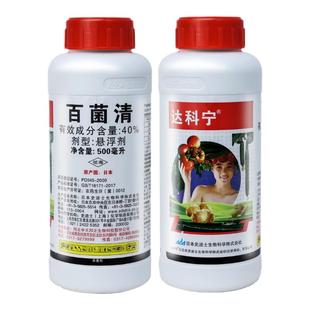 日本达科宁40%百菌清 黄瓜番茄葡萄霜霉病疫病炭疽病农药杀菌剂