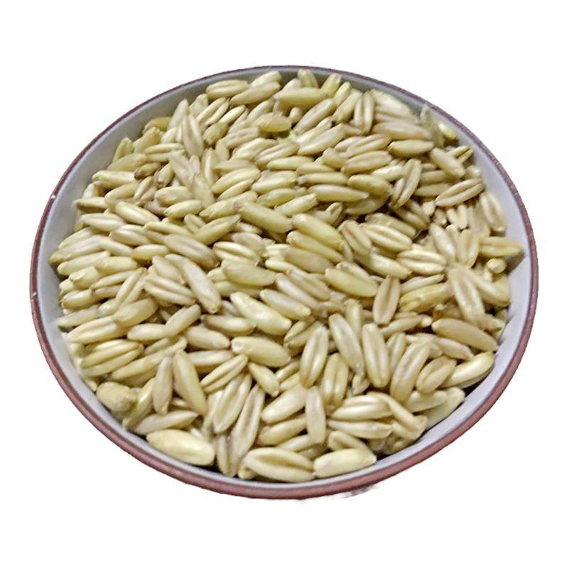 新货农家燕麦米粗粮五谷杂粮