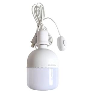 灯座带开关带线插头插座led家用灯泡e27螺口螺纹底座吊灯头悬挂式