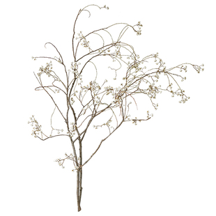 北欧ins民宿装饰天然树枝干花干果插花花束搭配乌桕果装饰小白果