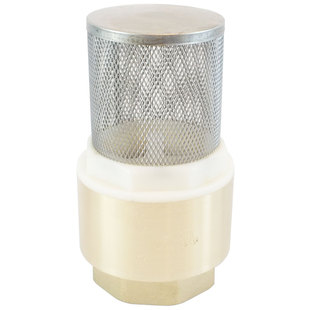 铜底阀井底阀水泵抽水止回阀不锈钢过滤网塑料芯带弹簧止回4分6分